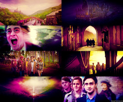 dracoandhermione:  heartsinsync:  The last shots of the eight Harry Potter films.  #let me die 