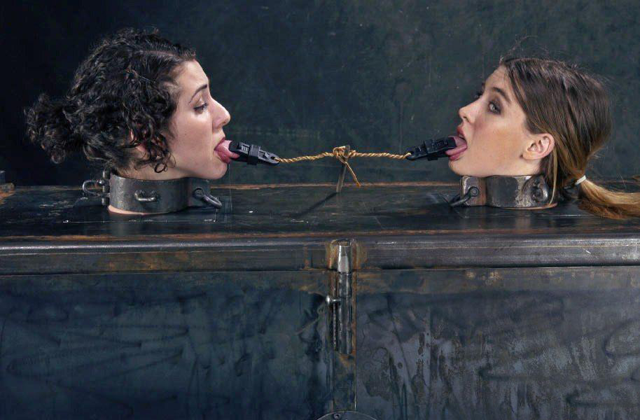 Bound to please