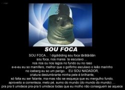 SOU FOCA , *-*