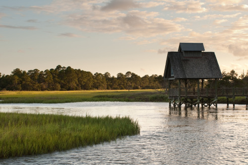 fycharleston: Gazebo on the marshKiawah Island, SC 