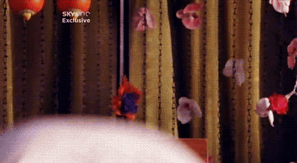 tumblr_loys4t8OGO1qf5f9no8_500.gifv