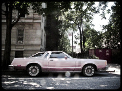 emmanuelblackwell:  pink champagne. | I &lt;3 NY | throop avenue - brooklyn, new york | 2011 .  