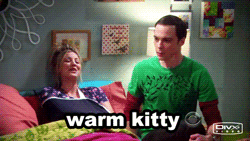 funniest10k:   Following this blog may be the greatest thing you have ever done 