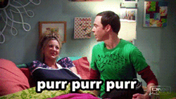 funniest10k:   Following this blog may be the greatest thing you have ever done 