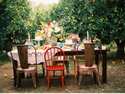 kstudle:  I vow to have mismatched chairs at my dinner table. 