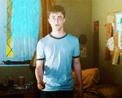 My Life Potter