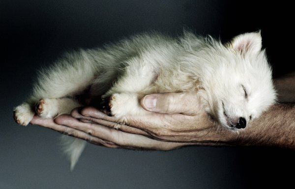 hellocute:  Help animals when you can :) beautylish submitted:  Check out this Giveaway