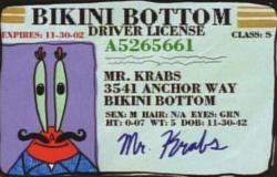 glamydia:  thorki:  dysexila:  jennstarkid:  howinternet:  Mr. Krabs is 70 years old.  His eyes are green  he’s 7 inches tall  he weighs 5  his first name is Mr.  The card is expired