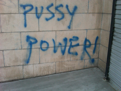 voldemortswankbank:  PUSSAY PATROL POWER  