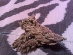 What we were smoking last night &lt;3