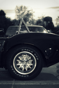 automotivated:  427 Cobra (by Alex-Takes-Photos)