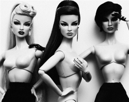 bunnygee:  true bitches    