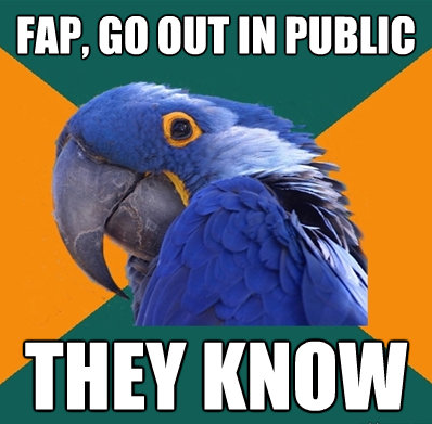  Best of paranoid parrot 