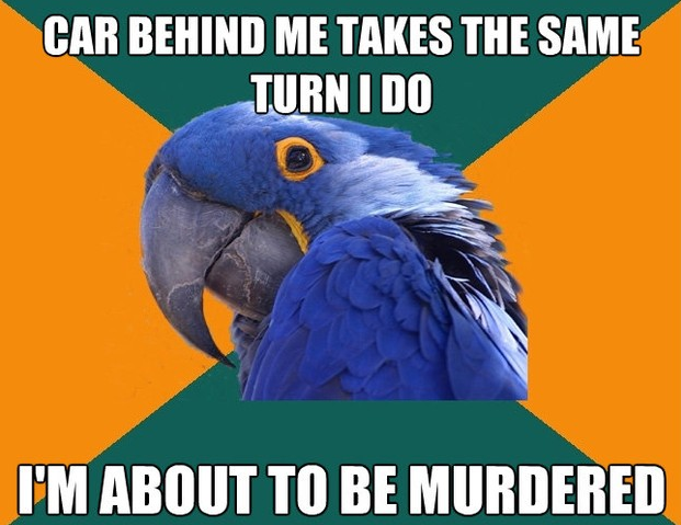  Best of paranoid parrot 