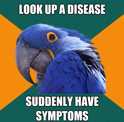  Best of paranoid parrot 