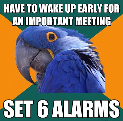  Best of paranoid parrot 