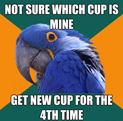  Best of paranoid parrot 