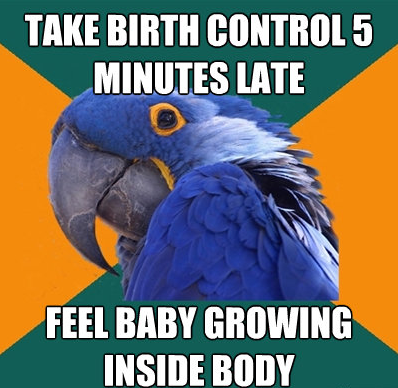  Best of paranoid parrot 