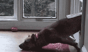 peetaah:  Gonna get through… Success! 