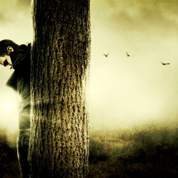 martinstranka:  “Someone Like You”