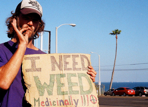 Stoners Paradise
