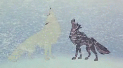 matryoshkaday:  frequency-radio:  thespacecoyote:  thecapn:  folkbloodbath:  sebviously:   “Let me tell you something, Balto. A dog cannot make this journey alone, but maybe a wolf can.” - Boris   One of the greatest scenes in movie history.  Oh my