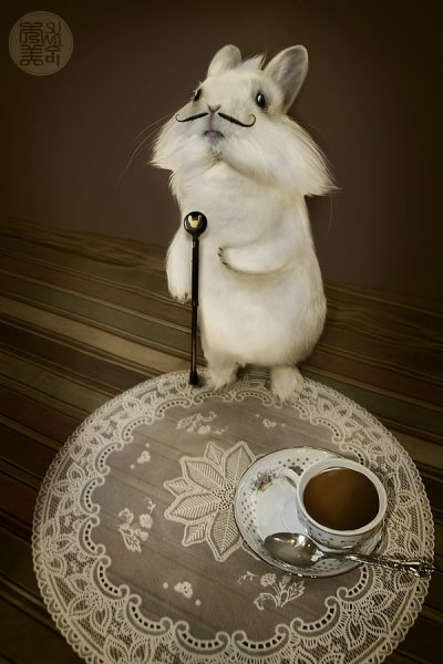 enjoy the tea time with the white rabbit! ^_^