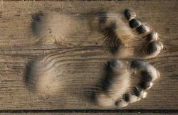 forever-and-alwayss:  A Buddhist monk’s footprints are permanently etched into the floorboards he has been praying on every day for 20 years. 