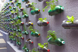   Gardening in discarded plastic bottles — a DIY project many people could make using bottles, string, and washers. The installation pictured is enabling a family in Sao Paolo, Brazil, to grow its own herbs and vegetables. (via Do The Green Thing  