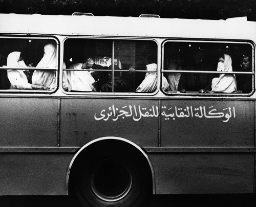 Porn photo Bus, Algeria photo by Abisag Tüllmann, 1970