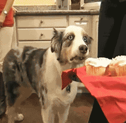 When someone reblogs an old text post or photo of yours on tumblr