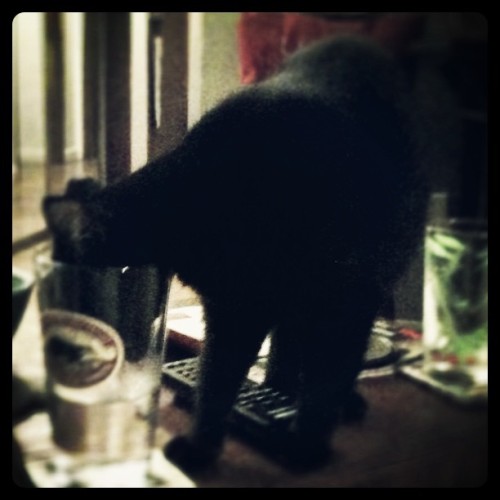 laundryaisandrea:Mmmm, water… (Taken with instagram)