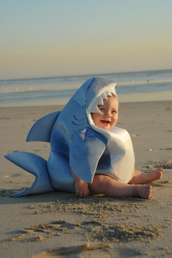 thefrogman:  The baby land shark.  