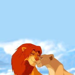 NSFW Tumblr : lion king gif