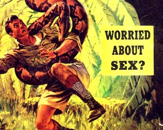 vandergrafvanny:  Snakes have two penises, I suppose that might be a reason to worry.