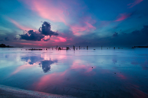 Sweet Escape