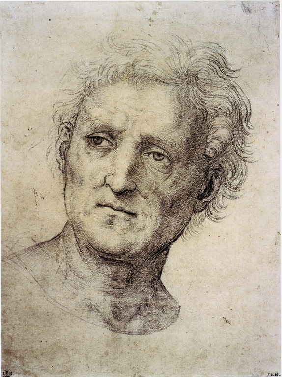 cavetocanvas:  Head of a Middle Aged Man - Raphael, 1504 