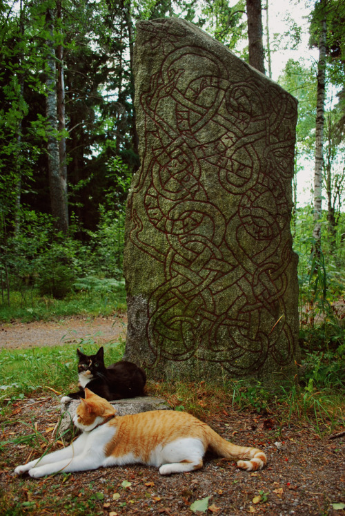 theperfectworldwelcome: fuckyeahvikingsandcelts: bad-mojo: Almighty viking kitties (They are Moofse&