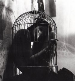 I Know Why The Caged Bird Sings.   She&rsquo;ll sing for me. 