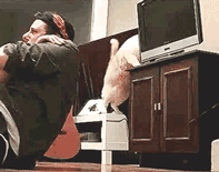 thefunniestpost:  Hysterical Blog!
