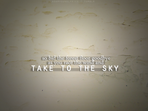 adamyounglyrics-blog: To the Sky- Owl City