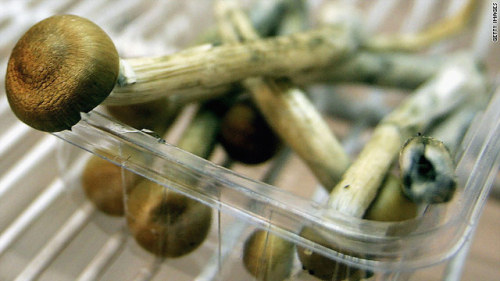 Psilocybin Mushrooms Confirmed As Anxiety Battling Drug Terminally ill cancer patients struggling wi