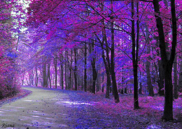 ❀ m o v e d ❀