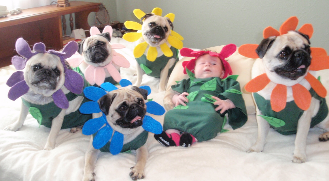 Anne Geddes 4 Life.