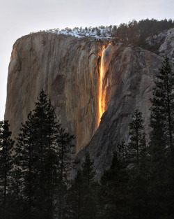 effervescentvibes:natureconservancy: Photo: Rob KroenertHorsetail Fall is a small, ephemeral waterfall that flows over the eastern edge of El Capitan in Yosemite Valley. For two weeks in February, the setting sun striking the waterfall creates a deep