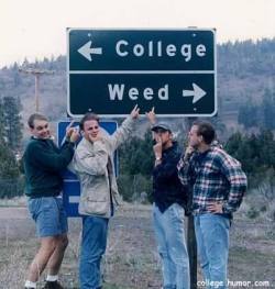 inhighwetrust:  A. COLLEGE B. WEED C. ALL OF THE ABOVE 