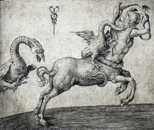 speciesbarocus:  Jacopo de’ Barbari - A centaur pursued by flying dragons (c. 1495).