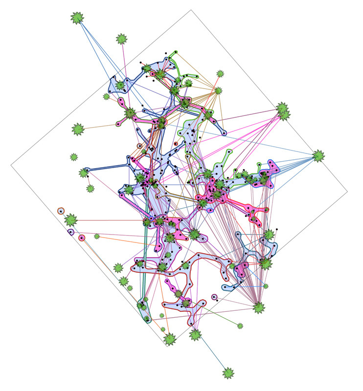 Mycorrhizal networks diagram by Kevin Beiler