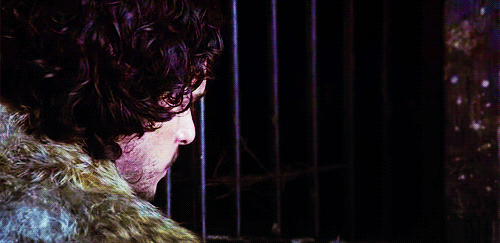 valiants-deactivated20150102:  “What is honor compared to a woman’s love? What is duty against the feel of a newborn son in your arms … or the memory of a brother’s smile?”  Maester Aemon =’[