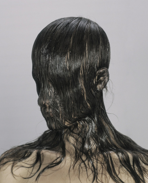 Natural Transfer I, Levi van Veluw